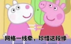 互联网络的基本含义是(互联网意味着什么？  了解互联网络的基本定义)