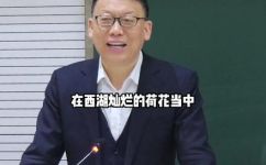 天阶夜色凉如水的下一句(花落人去两悠悠揭秘古诗背后的故事与意义)