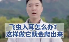 耳朵进了小飞虫怎么办(如何处理耳道进入小飞虫的情况？)