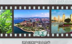 法桐树的简单介绍资料(法桐树品种介绍让你轻松了解法桐树)