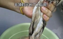 衣服上的毛领如何自己清洗(毛领清洗攻略：如何自己清洗衣服上的毛领)