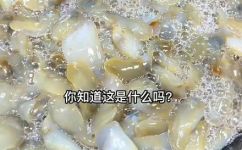 泥螺怎么吃(泥螺怎么吃？最佳食用方法详解)