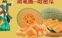 哈密瓜简笔画步骤(教你如何画哈密瓜简笔画)