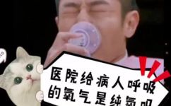 纯氧和氧气区别(纯氧与氧气的区别及作用详解)