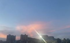 月半喵哪里写文(月半喵写文攻略，走进耐人寻味的文学世界)