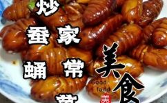 蚕蛹怎么吃(蚕蛹的食用方法和功效大全：如何正确烹饪蚕蛹)