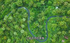 三结合是哪三结合(揭秘三结合是哪三种组合)