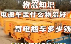 什么物流可以寄电动车和电池(电动车及电池物流哪家更可靠？让你的货物安全达到目的地)