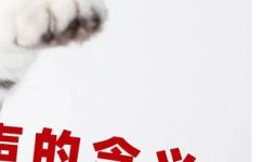 喵酱是什么意思(喵酱探究其含义，为你解答)