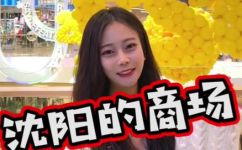 去沈阳哪买衣服好(沈阳购物攻略：推荐的购物商场和时尚品牌)