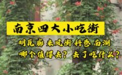 中国四大小吃有哪些(探寻中国四大特色小吃，想知道哪些美食在其中？)