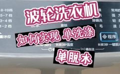 单漂洗是什么意思(技巧分享了解单漂洗的定义及操作方法)