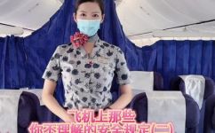 飞机上不能带充电宝吗(飞机手提行李不能携带充电宝？荷航为什么拒绝？)