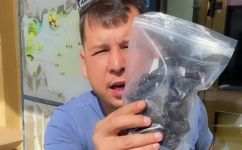 乌梅与西梅有什么不同(乌梅和西梅有何不同？比较乌梅与西梅的不同特点)