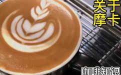 摩卡是什么(摩卡介绍  摩卡是什么  摩卡的定义与含义)