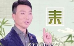 耒怎么读(翻译耒怎么读？如何正确发音？)