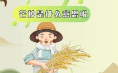 芒种是什么季节(芒种是属于什么季节？)
