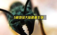 世界上最毒的几种生物是什么(揭秘世界上毒性最强的生物排行榜，你知道几种吗？)