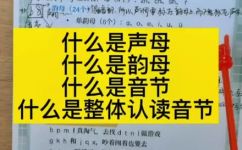 拼音声母是啥意思(解析拼音声母是啥意思 )