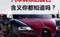 白牌照是什么车(白牌照车型解析，了解什么是白牌照车)