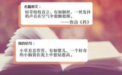 一什么枯草量词(枯草量词是什么？探寻其意义与用法)
