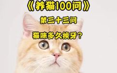 猫几个月换牙(猫咪换牙时间多长？猫宝宝几个月开始换牙？换牙期间需要注意什么？详解猫咪换牙相关知识)
