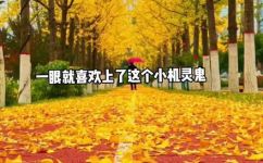 小白兔的糖果屋讲的是什么意思(解读小白兔的糖果屋：糖果之旅的美好寓意)
