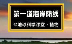 关于红树林的资料简介(红树林资料介绍：了解海岸线上的珍贵生态系统)