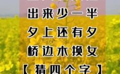 谜语板(猜谜乐趣尽在谜语板：玩转智力挑战)