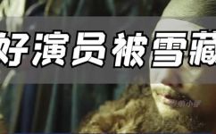 雪藏是什么意思(深入解析：什么是雪藏及其含义)