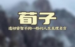 荀况的名言(荀况名言大全：千古留传的智慧箴言)