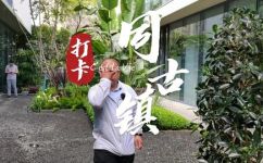 缅甸同古在哪里(攻略缅甸同古景点在哪里，怎么去？)