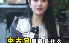 中古包什么意思(了解中古包的含义及其使用方法)