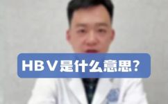 HBV什么意思和解释(详解HBV是什么意思，HBV的解释及相关知识分享)