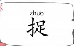 捕捉是什么意思(如何理解和使用捕捉这个词汇？ )