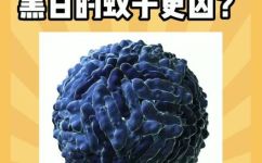 黑蚊子跟普通蚊子有什么区别(黑蚊子与普通蚊子有何不同？深入了解它们的差异)