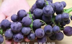 葡萄怎么做好吃又简单(简单易学想要尝一口美味葡萄？这里教你如何做好吃的葡萄)