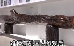 什么是乌木介绍(如何正确介绍乌木：乌木是什么？特点及应用简述)