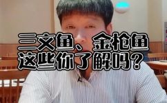 金枪鱼三文鱼区别(详解金枪鱼和三文鱼的区别，让你吃的更加健康)