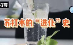 什么是苏打水的简介(苏打水简介：了解苏打水的起源成分及功效)