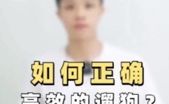 遛狗是什么意思(深入了解遛狗的含义，如何正确遛狗？)