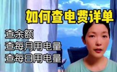 电费余额怎么查询(如何查询电费余额？)