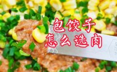 饺子馅的肉用什么肉(饺子馅选肉指南：如何选择最适合的肉类？)