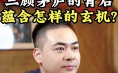 三顾茅庐是什么意思(三顾茅庐是什么？解释及来源)
