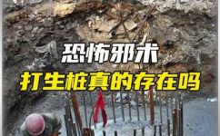 打生桩是什么意思(打生桩解释及其应用场景)