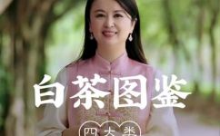 白茶的种类有哪些(探究白茶种类，全面了解白茶的分类与品质)