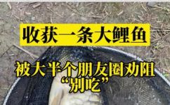 三道鳞鱼为什么不能吃(为什么不能吃三道鳞鱼？探寻营养价值与安全性)