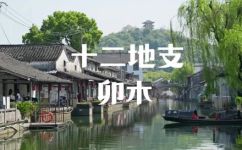 卯时是什么时候(卯时是什么时候？详细解析卯时的时间和作用)