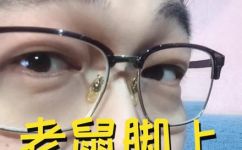 老鼠有几条腿(老鼠有几只脚 )