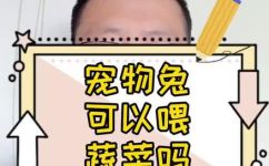 兔子不吃肉吗(兔子是素食主义者吗？了解兔子的饮食习惯)